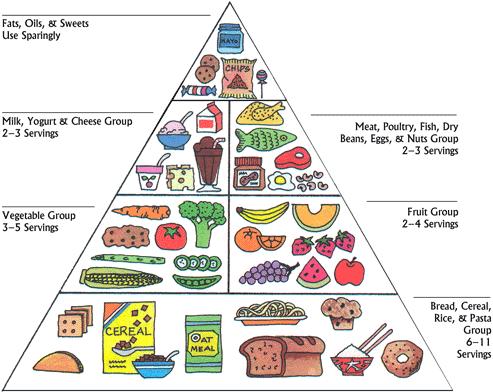 NZ-food-pyramid